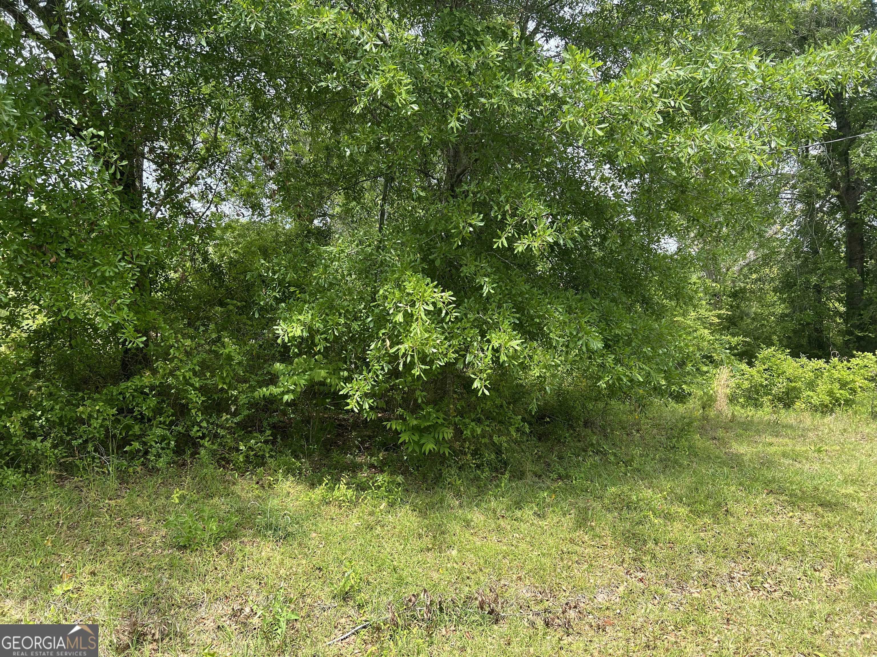Dublin, GA 31021,0 Holliday RD