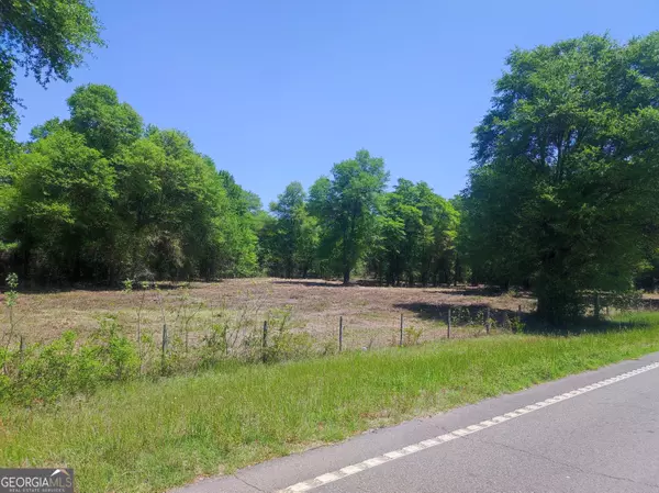 Oglethorpe, GA 31068,0 State Route 90