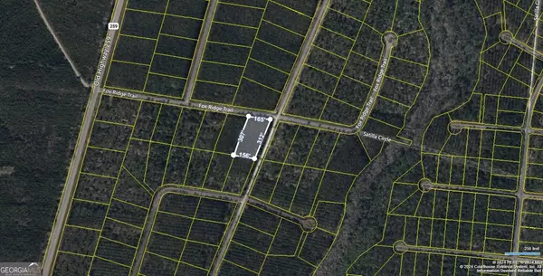 V/L 41 Fox RDG, Waynesville, GA 31566