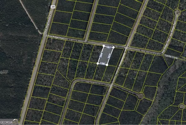 V/L 42 Fox RDG, Waynesville, GA 31566