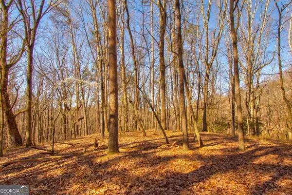 Dahlonega, GA 30533,27.68 Chapman Ridge LN