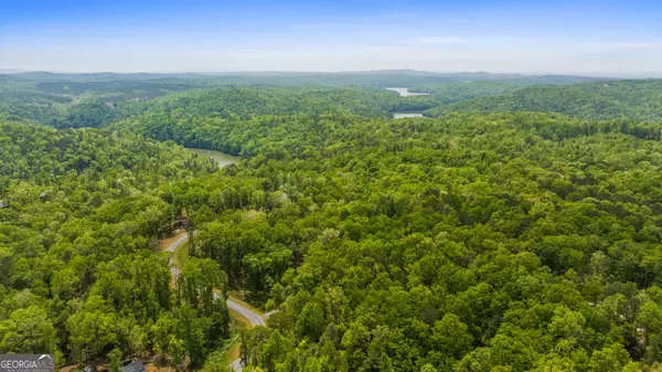 Ellijay, GA 30540,LOT 39 Jakes Landing WAY