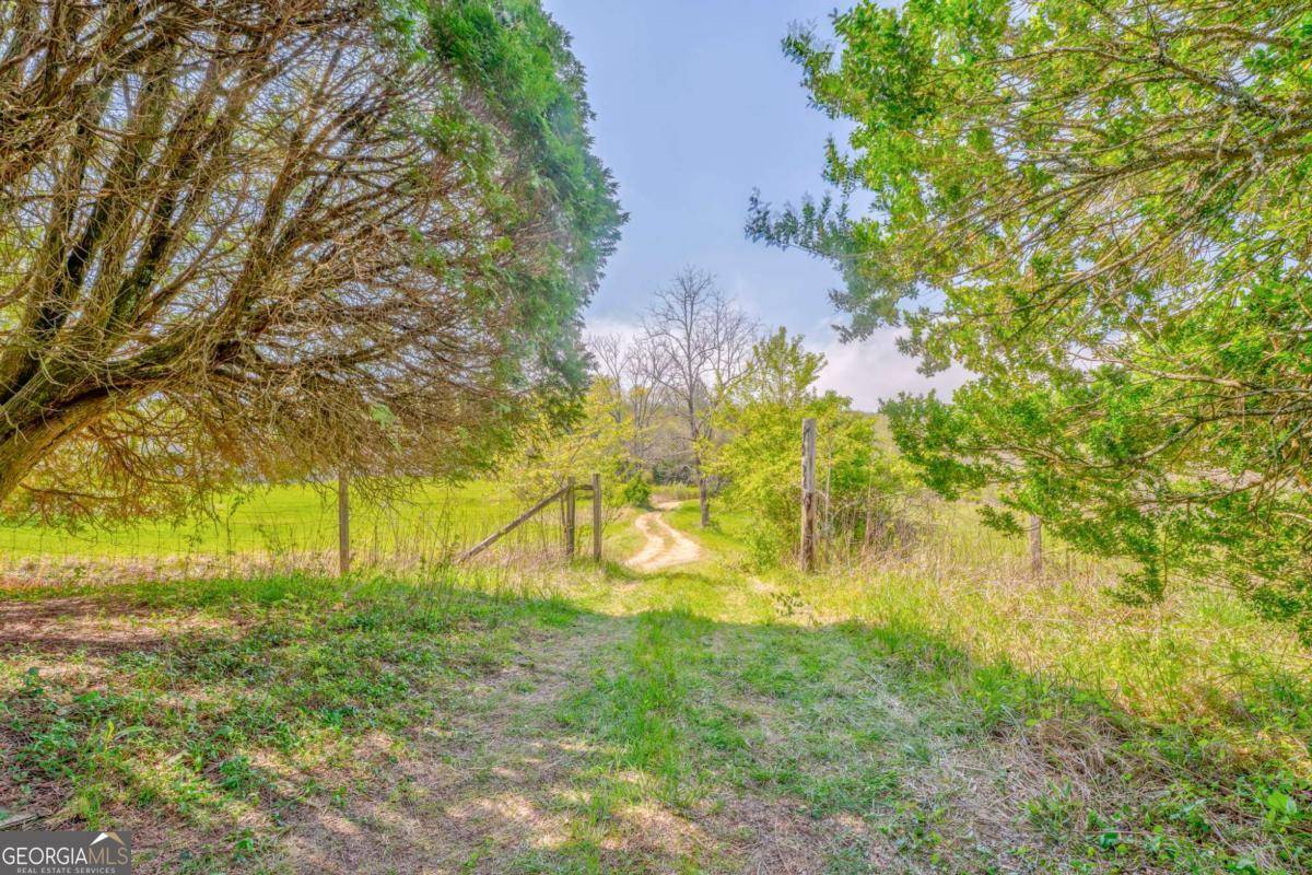 Mccaysville, GA 30555,365 Waters RD