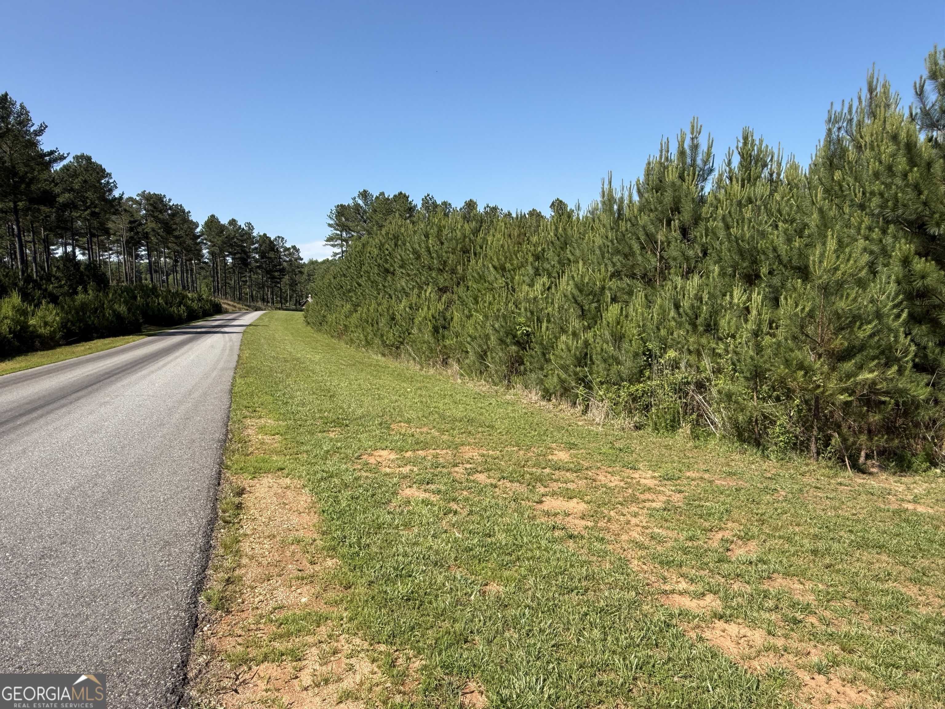Blairsville, GA 30512,LOT 228 The Cove at Thirteen Hundred