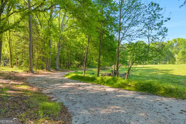 Statham, GA 30666,0 Cooper Gin RD