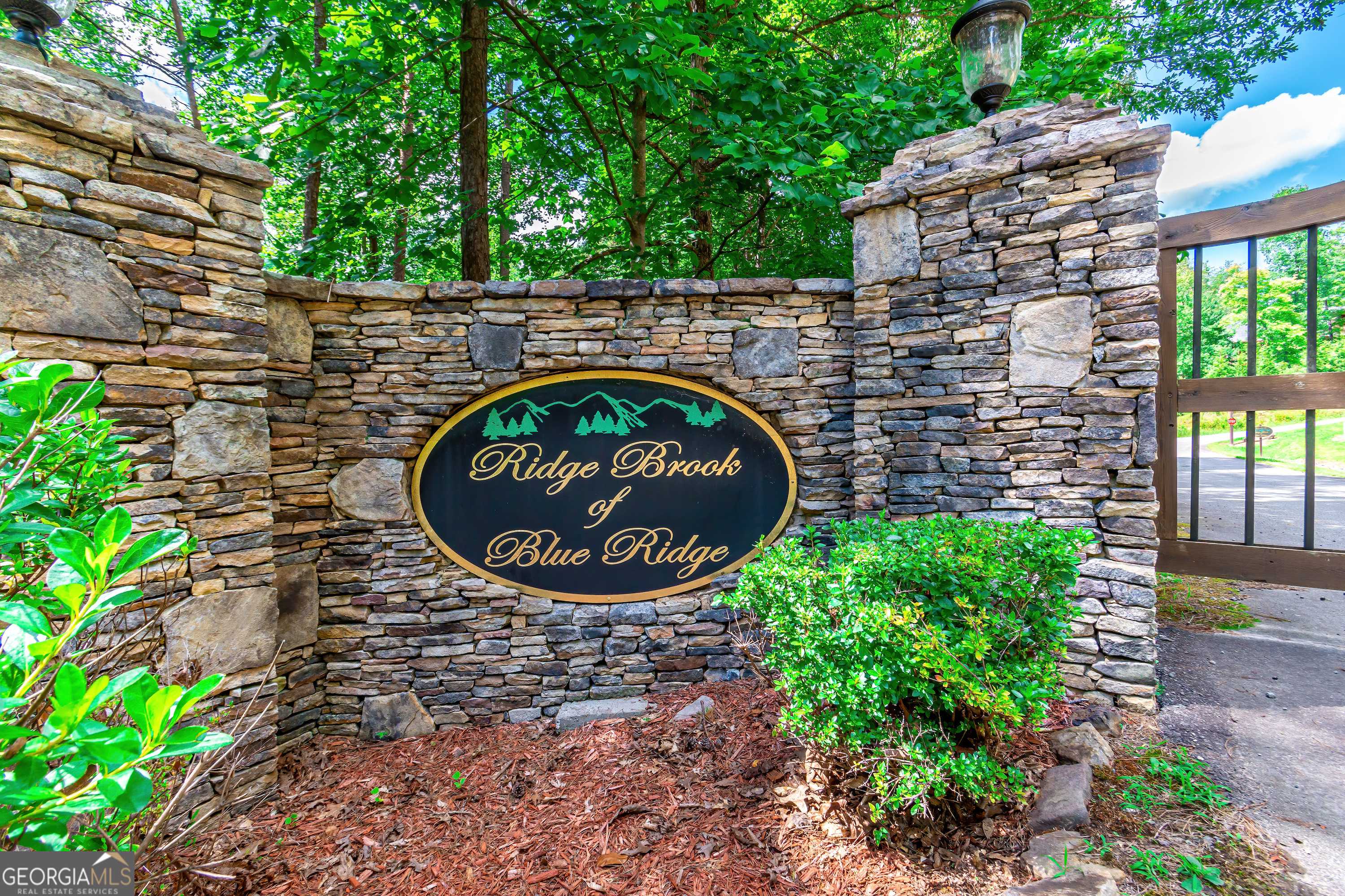 Morganton, GA 30560,LOT 12 Meadow Brook TRL