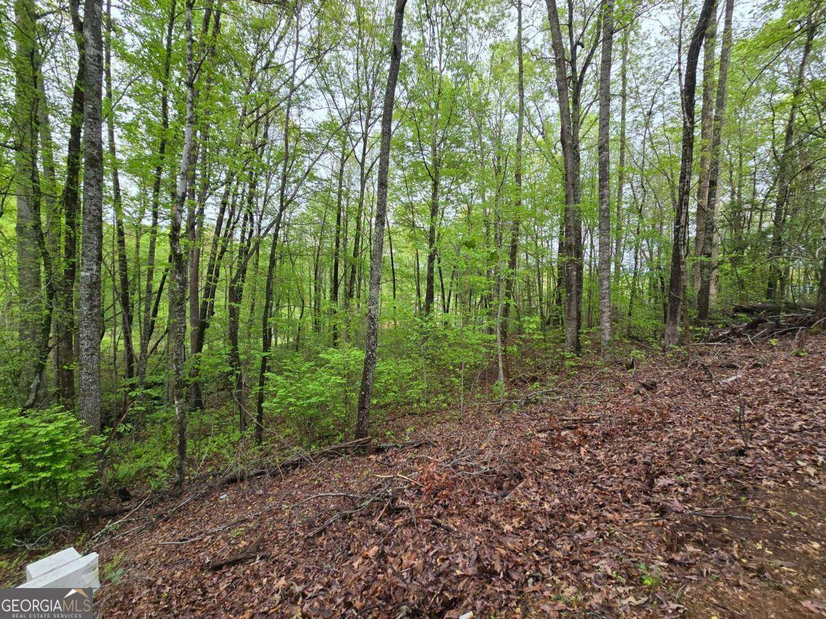 Hayesville, NC 28904,LOT 69 Chatuge VLG