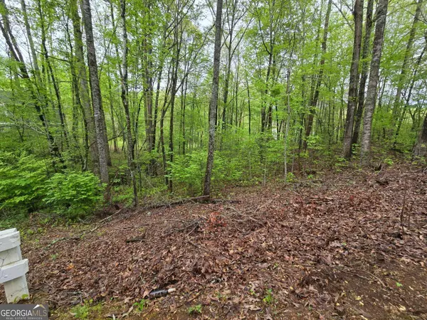 Hayesville, NC 28904,LOT 69 Chatuge VLG