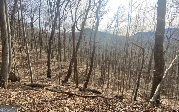 Hiawassee, GA 30546,TRACT 1 Caeser Gap Road