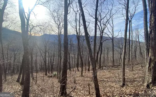 Hiawassee, GA 30546,TRACT 1 Caeser Gap RD