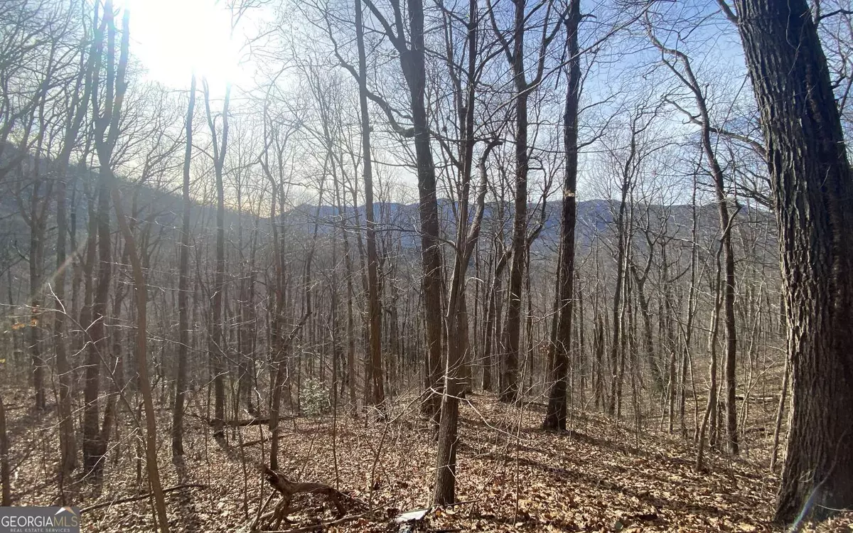 Hiawassee, GA 30546,TRACT 1 Caeser Gap RD