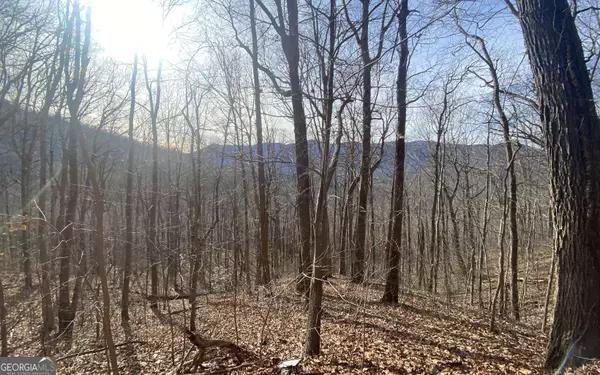 TRACT 1 Caeser Gap RD, Hiawassee, GA 30546