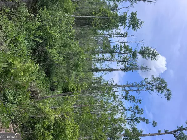 Hazlehurst, GA 31539,0 Walter Phillips RD