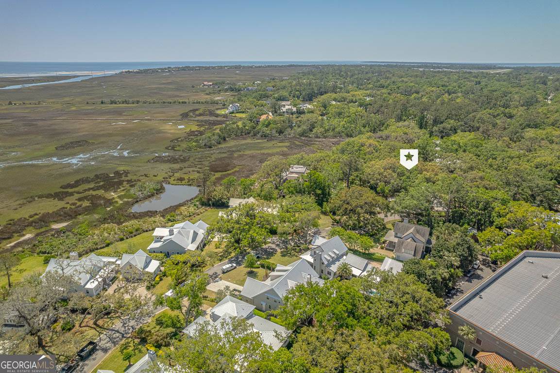 St. Simons, GA 31522,20 Frederica Oaks LN