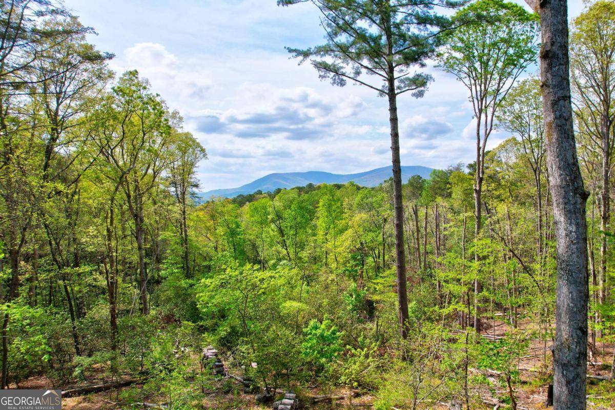Ellijay, GA 30536,361 Rising Star RD #14