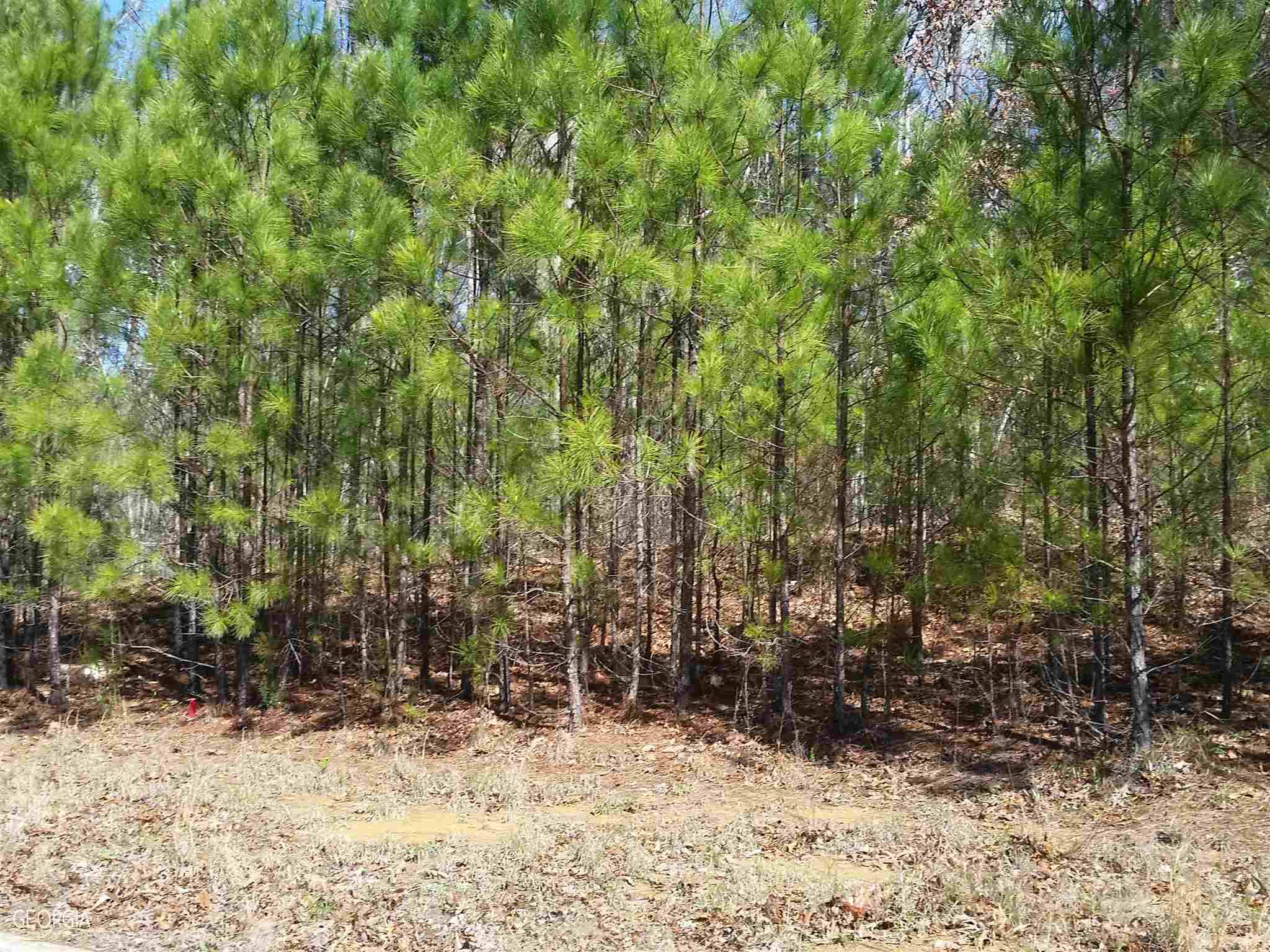 Dallas, GA 30157,0 Santa Cruz CT #LOT 7