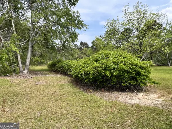 Tarrytown, GA 30470,435 GA Highway 29