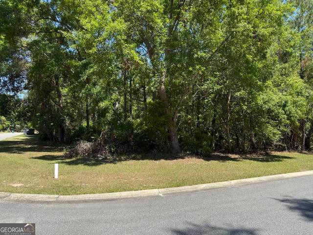 St. Marys, GA 31558,V/L 902, 0 Teather DR