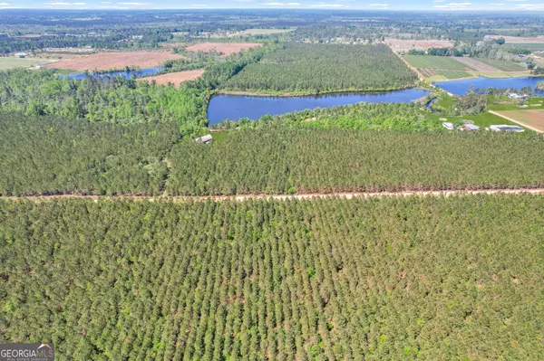 Alma, GA 31510,TRACT 7 Sanderling RD