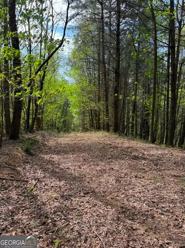 Ellijay, GA 30540,0001 Bryant Farm LN