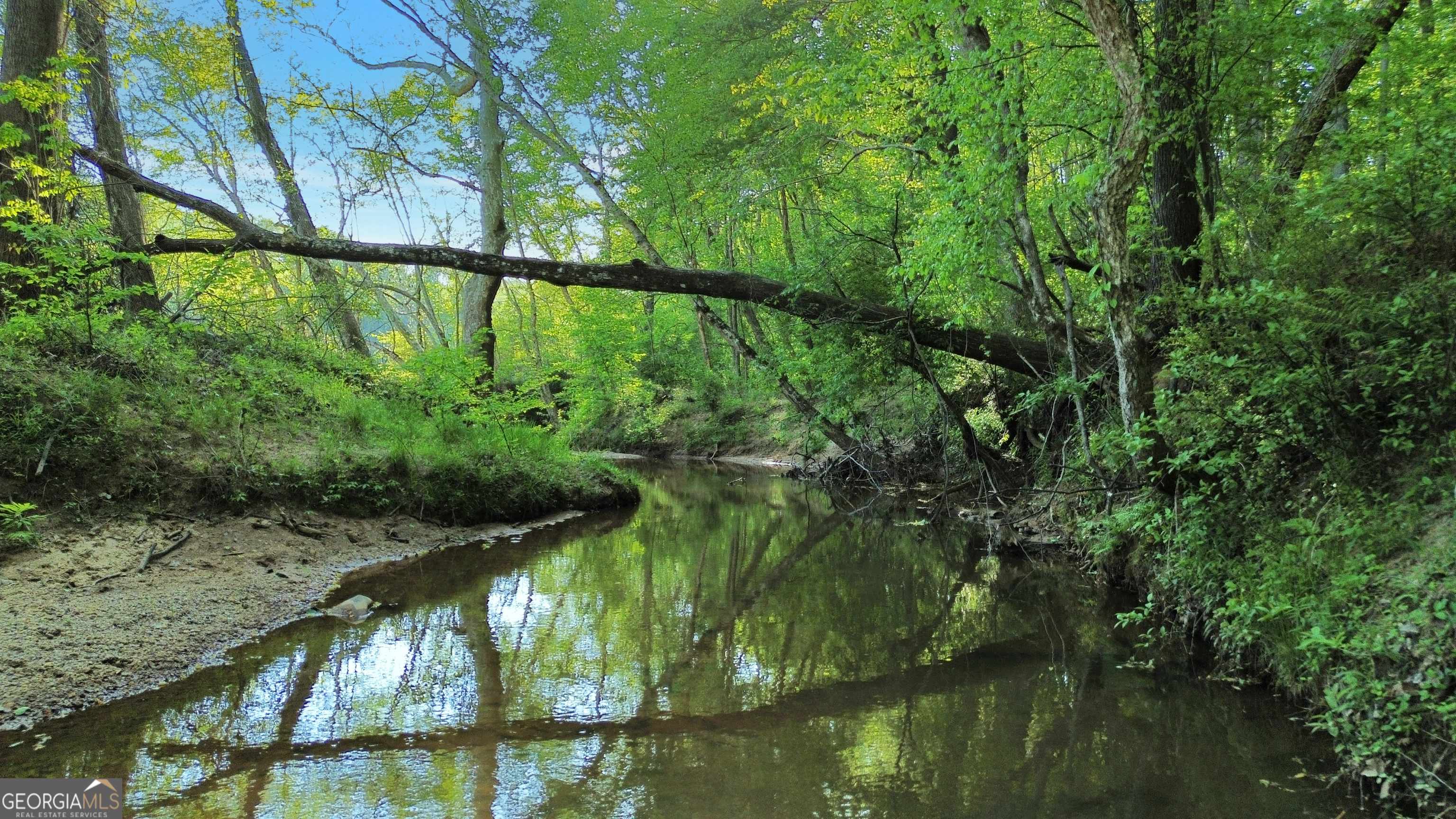 Auburn, GA 30011,0 Flanagan Mill RD