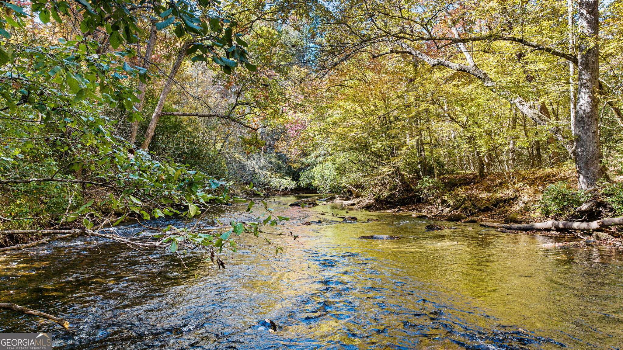 Blue Ridge, GA 30513,184 Spence RD