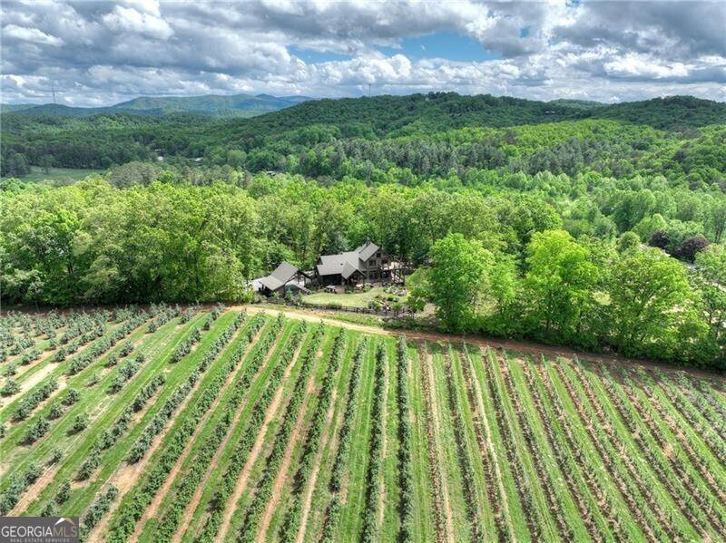 Blue Ridge, GA 30513,1241 Scenic DR