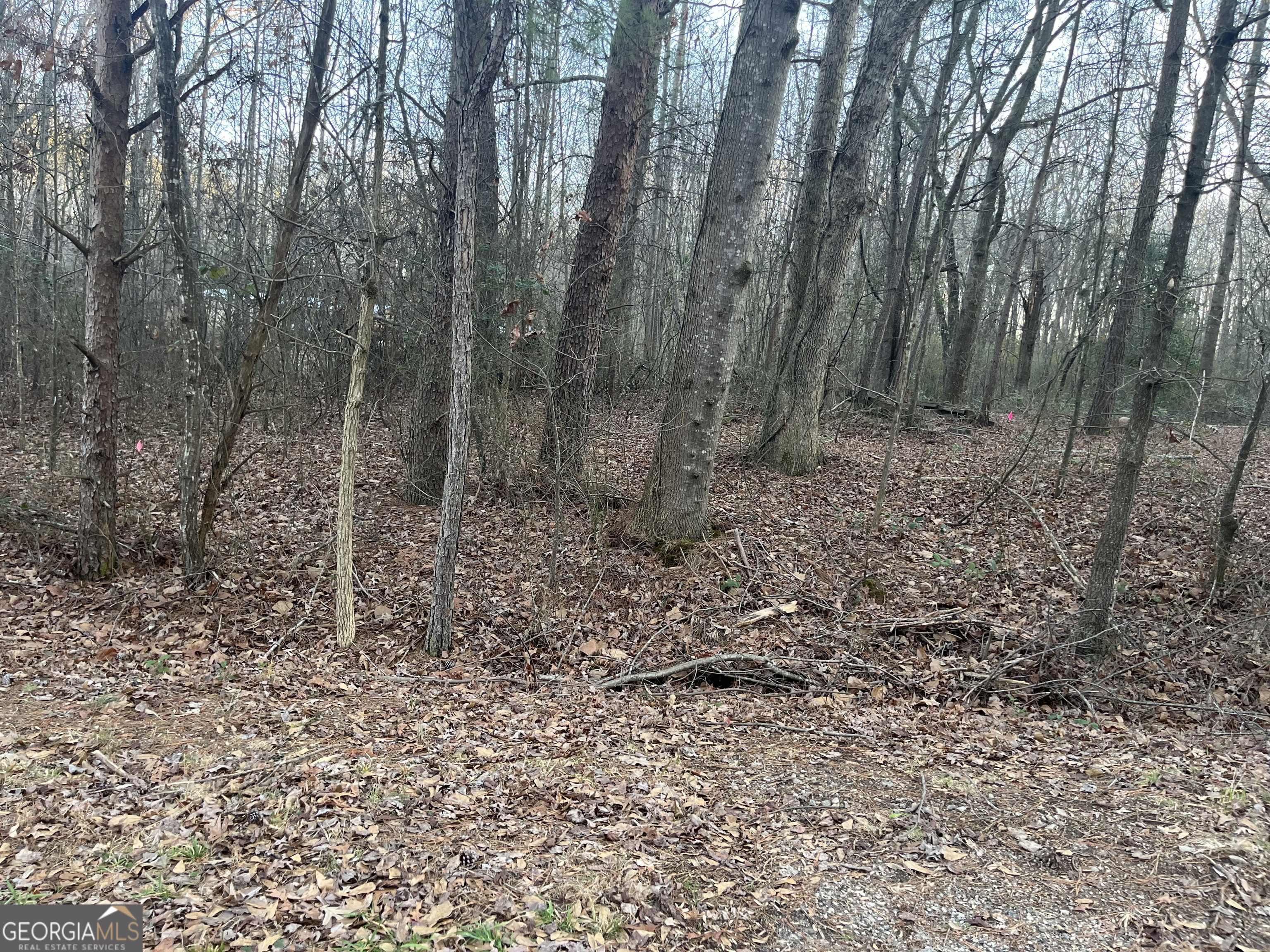 120 Tony DR #20, Hartwell, GA 30643