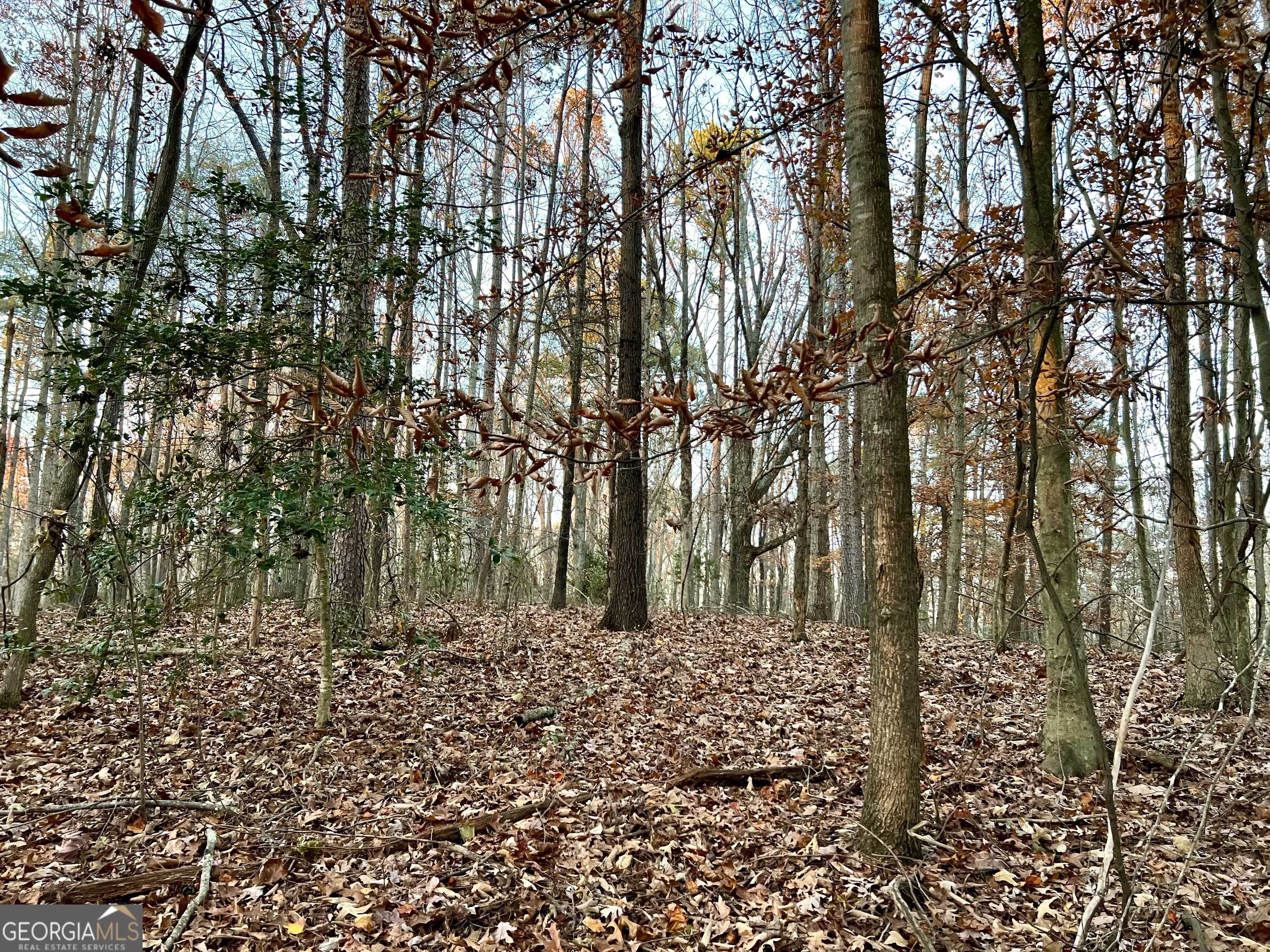 Alto, GA 30510,0 Pebble Creek LN