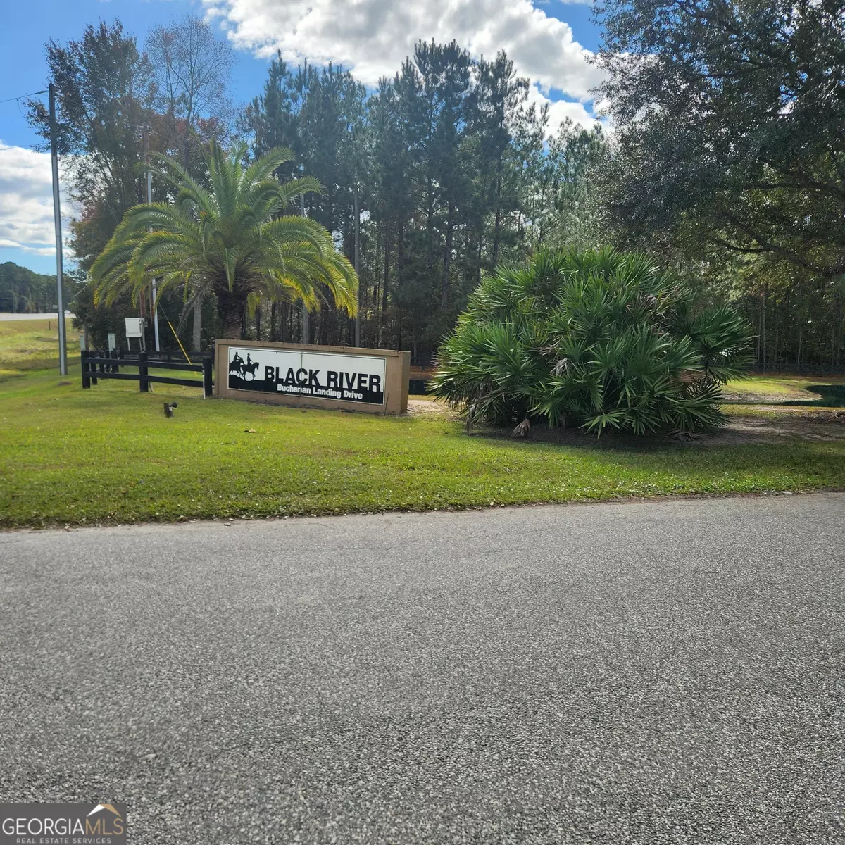 Folkston, GA 31537,0 Janelle's River DR