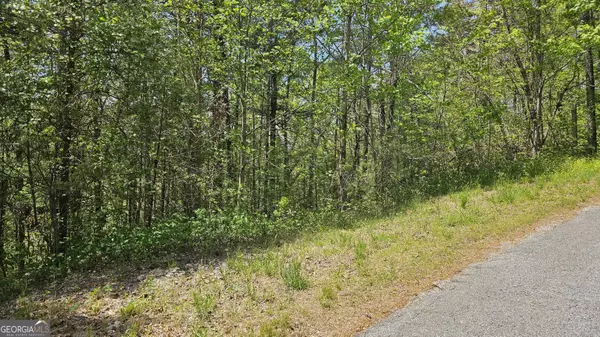 Clayton, GA 30525,0 Heavenly CIR #19