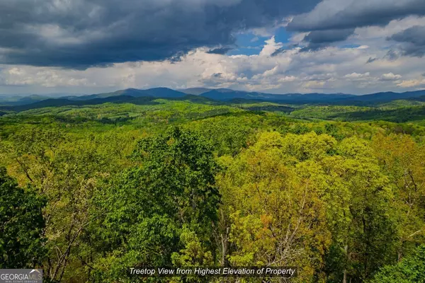 Ellijay, GA 30540,43.91 Old Burnt Mountain RD