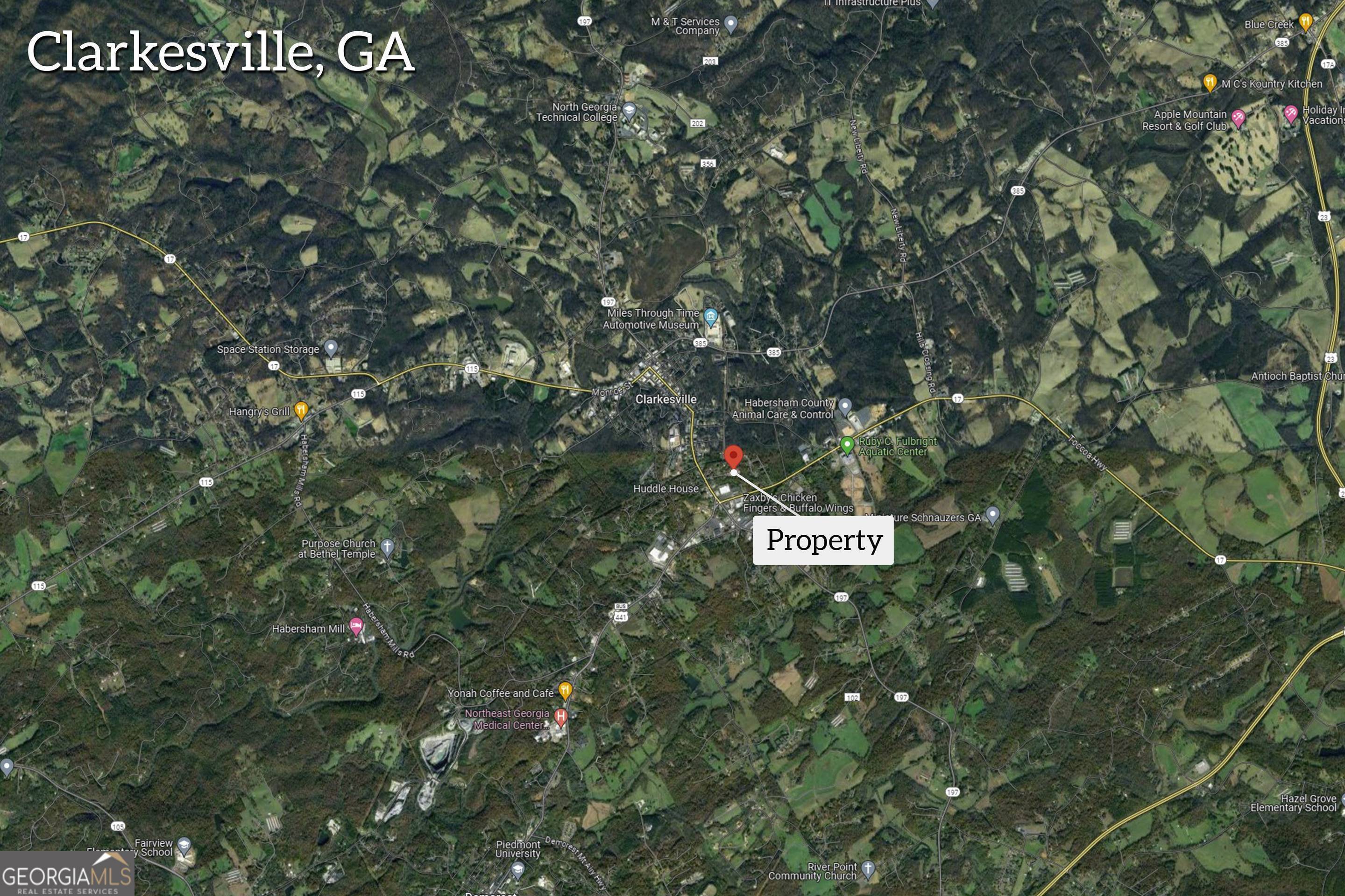 Clarkesville, GA 30523,253 Lacount LN