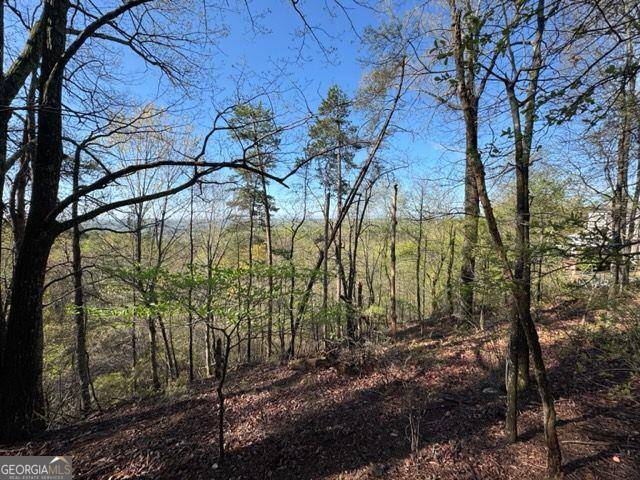 0 CROWN MOUNTAIN, Dahlonega, GA 30533