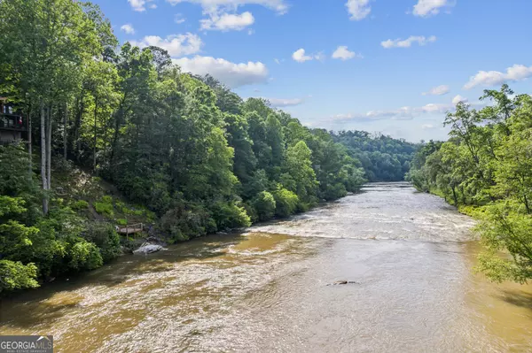 Ellijay, GA 30540,445 Greely DR
