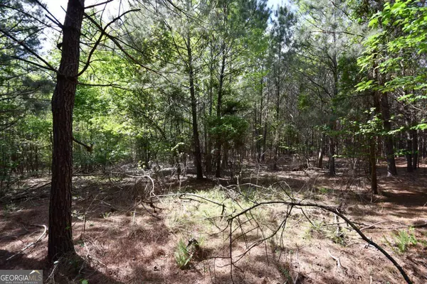 Buchanan, GA 30113,00001 Mt View RD