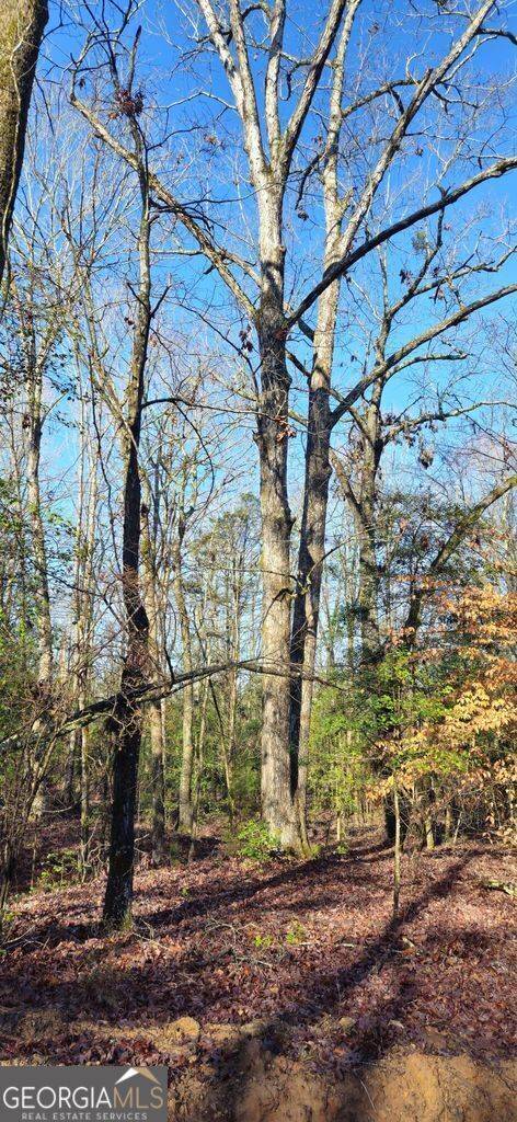 Elberton, GA 30635,0 White Owl DR