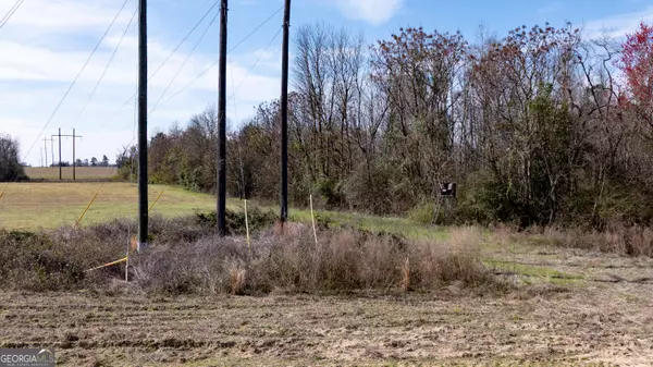 Cochran, GA 31014,0 Hudson Jones RD
