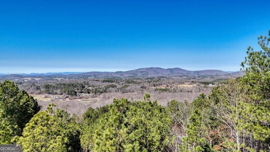 Blairsville, GA 30512,LOT 29 Loftis Mountain