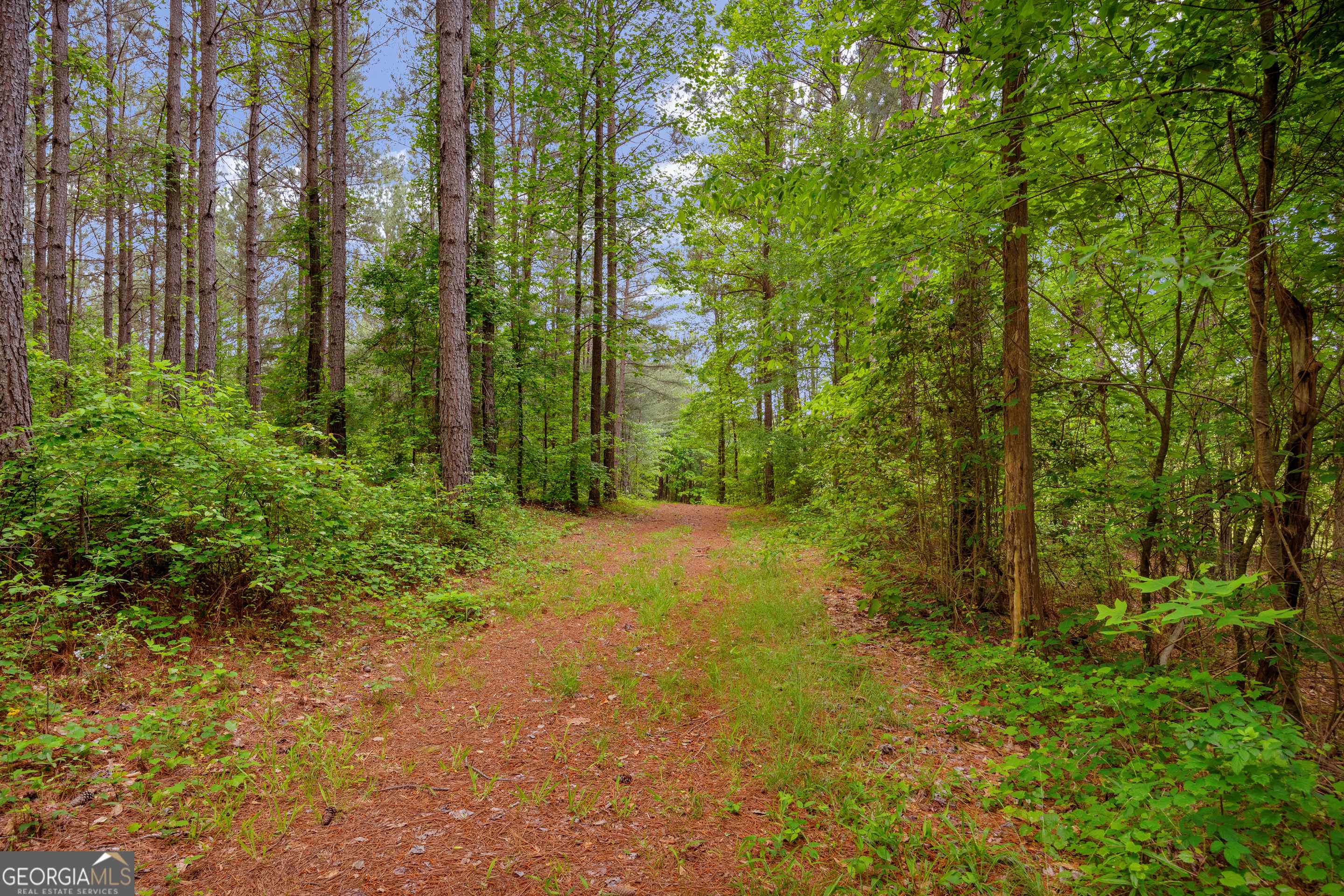 Martin, GA 30557,1120 Combs AVE