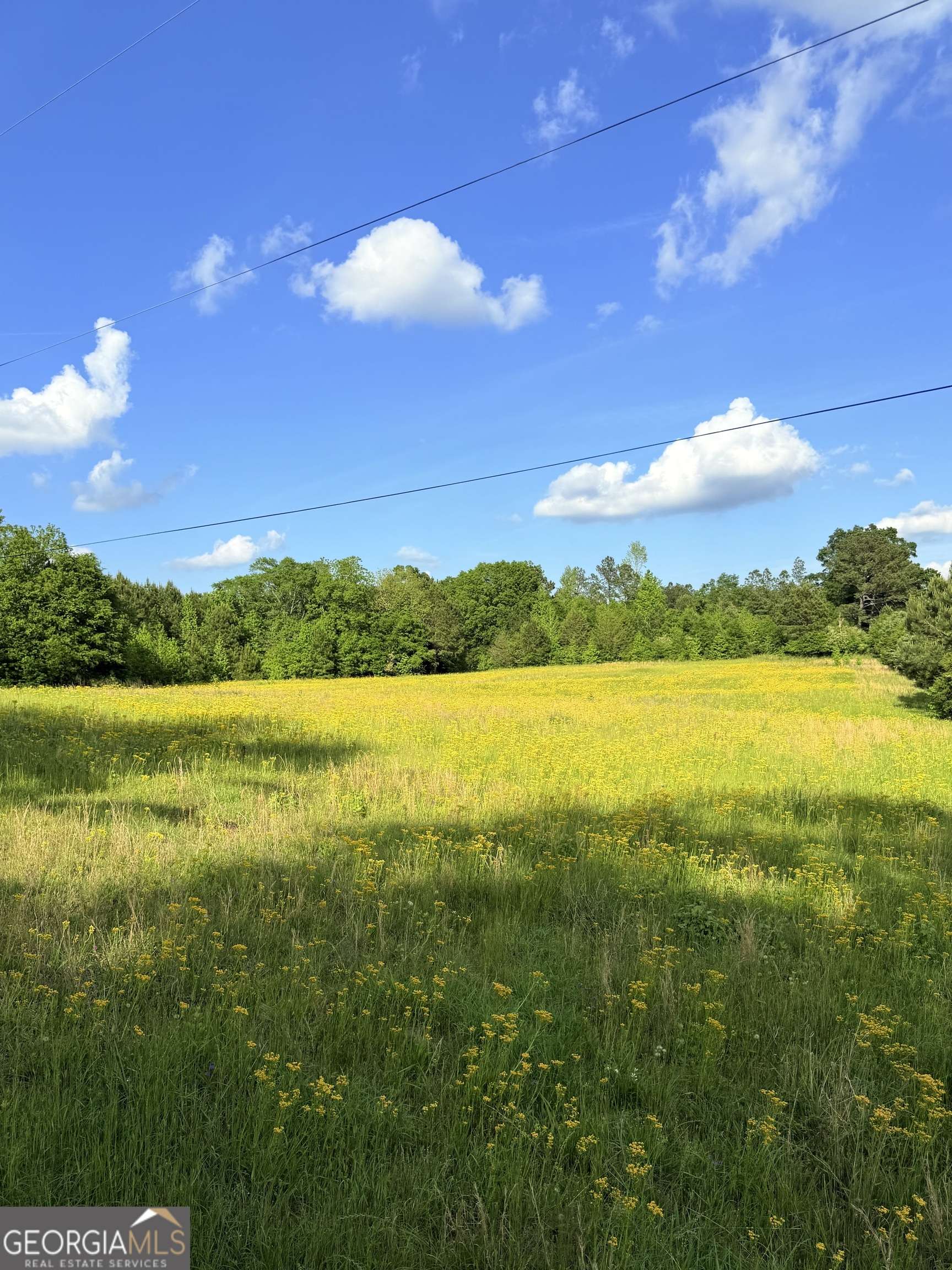 Molena, GA 30258,0 Bagwell RD