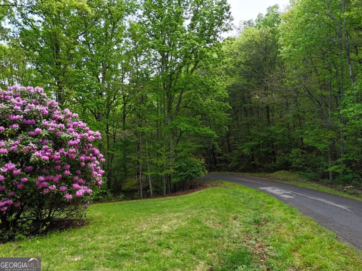 Young Harris, GA 30582,L93 - 95 Timberline