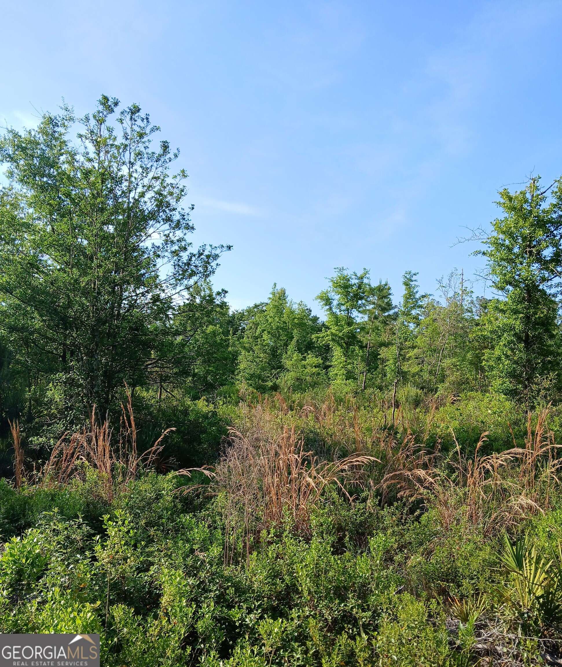 Folkston, GA 31537,0 Old Traders Hill RD #2.84 ACRE PARCEL LOT