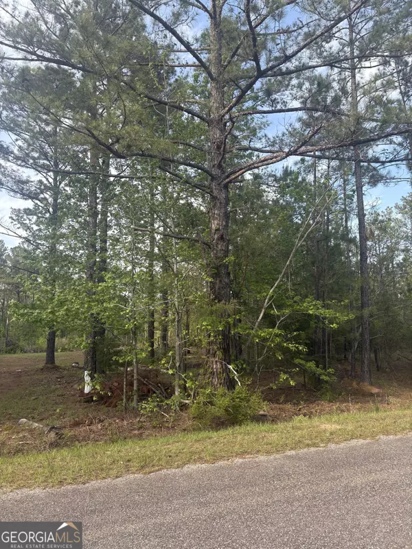 East Dublin, GA 31027,0 Barnes RD