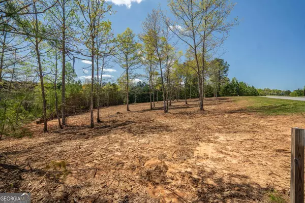 Blairsville, GA 30512,LOT 41 Sandy Lake LN
