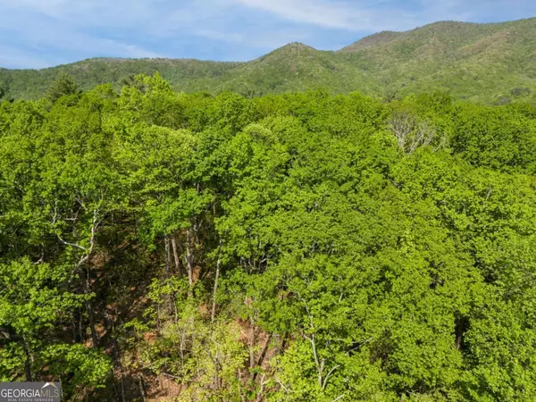 Ellijay, GA 30540,45 Amy Creek DR