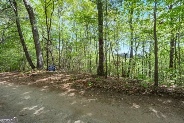 Ellijay, GA 30540,45 Amy Creek DR