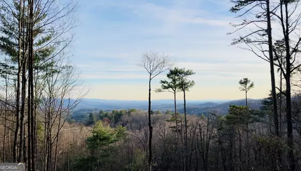 Ellijay, GA 30540,LOT 73 Mountain View RD