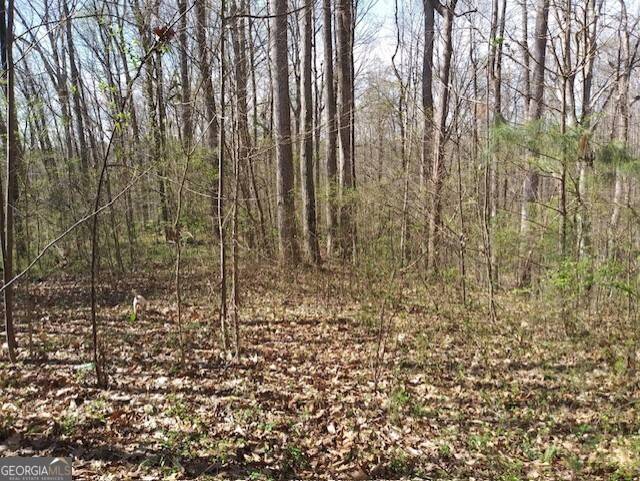 Nicholson, GA 30565,620 Ivy Creek DR