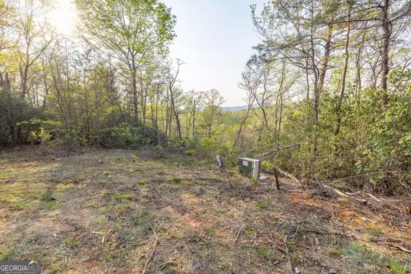 Sautee Nacoochee, GA 30571,0 Mountain Lion TRL #LOT 40D